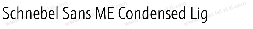 Schnebel Sans ME Condensed Light字体转换